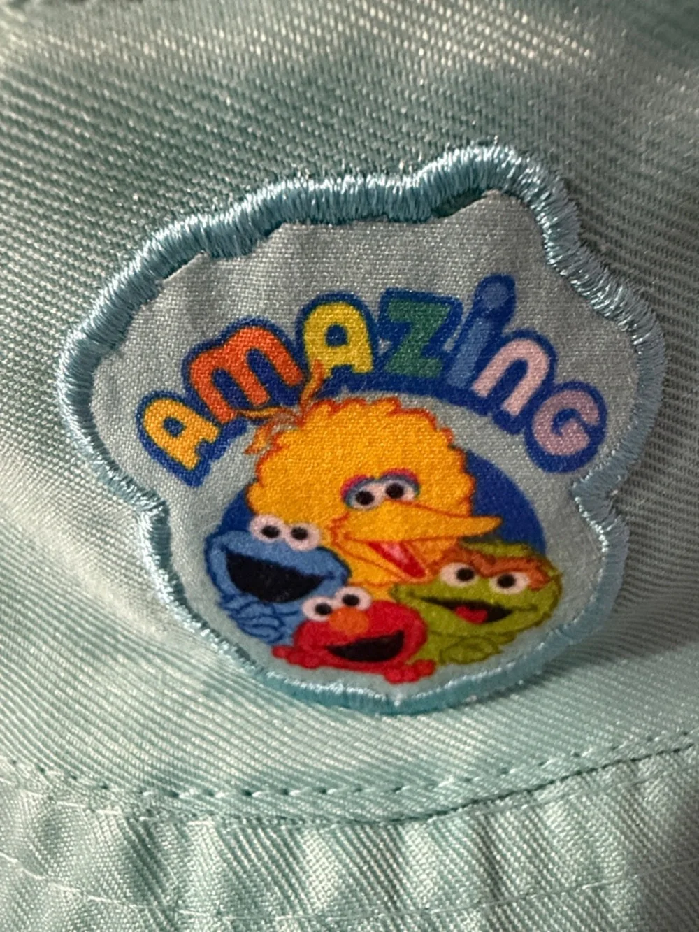 Sesame Street Aqua Blue Reversible Bucket Hat “Amazing” Character Patch
